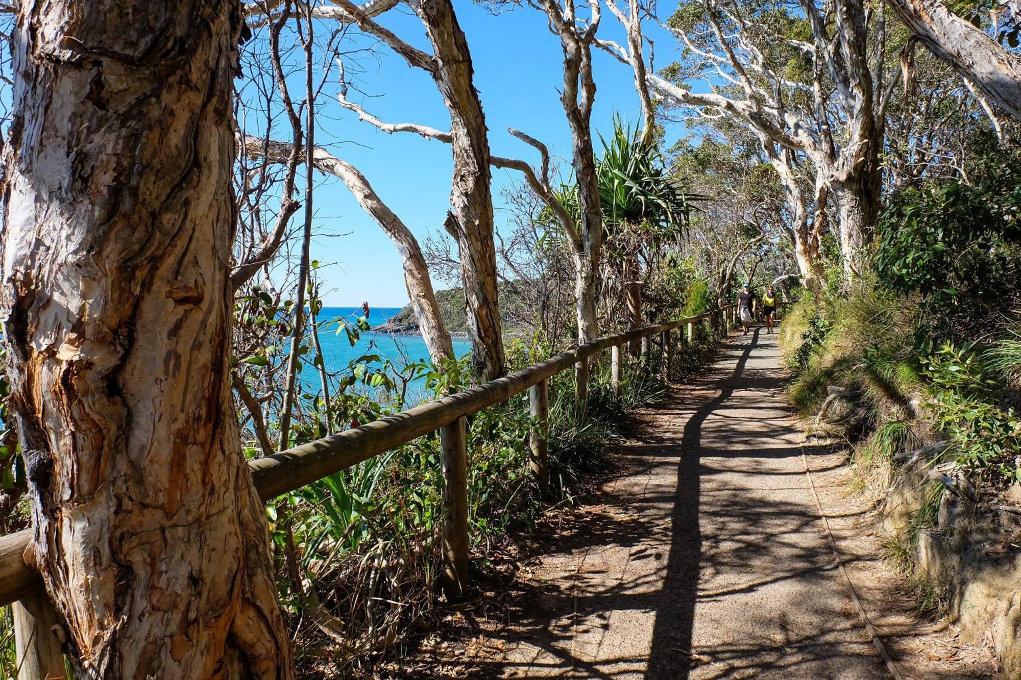 Halse lodge Noosa Heads Eksteriør billede
